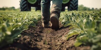 le fermer vue de une agriculteur alimentation avec caoutchouc bottes dans le jardin avec ai généré. photo