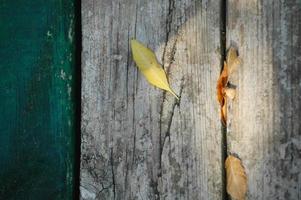 texture de fond avec du vieux bois et des feuilles d'automne jaunes photo