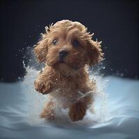 petit marron chien fonctionnement par une corps de l'eau. génératif ai. photo