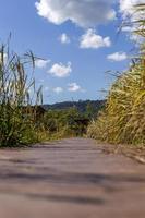 Dept of field of walk way to house and clouds background. photo