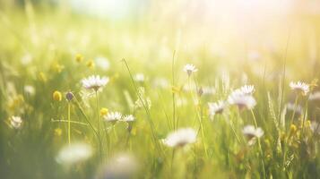 printemps Contexte avec fleurs avec le Soleil brillant sur il photo