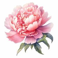 aquarelle magnifique pivoine fleur. illustration ai génératif photo