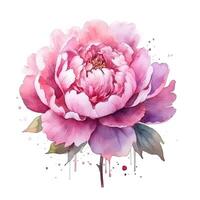 aquarelle magnifique pivoine fleur. illustration ai génératif photo