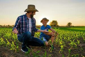 père et fils permanent dans une blé champ photo