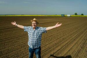 une Sénior agriculteur permanent dans le sien posséder blé champ photo