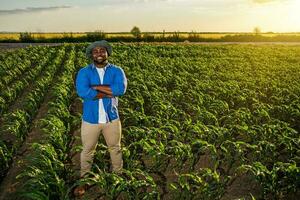 afro agriculteur permanent dans une blé champ photo