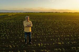agriculteur permanent dans une blé champ photo