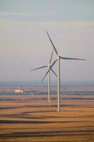 une champ avec vent turbines photo