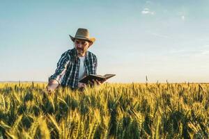 une agriculteur examiner le surgir photo