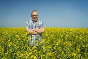 une agriculteur examiner une colza champ photo