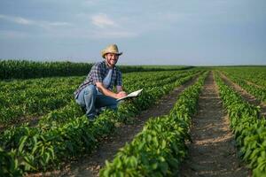 une agriculteur est examiner le sien le Chili plantation photo