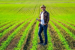 homme agriculteur est cultiver blé sur le sien terre photo