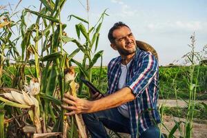 agriculteur examiner le le progrès de cultures photo