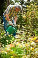 une Sénior homme prise se soucier de le sien jardin photo