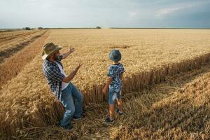 père et fils sont permanent dans leur blé champ photo