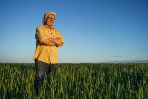 agriculteur permanent dans une blé champ photo