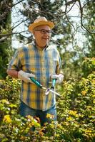 une Sénior homme prise se soucier de le sien jardin photo