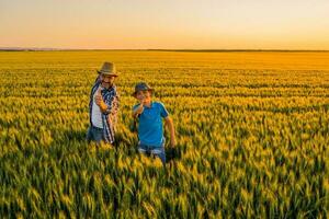 père et fils permanent dans une blé champ photo