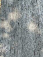 vieux en bois mur texture Contexte photo