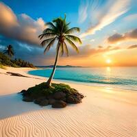 vue de le plage avec noix de coco des arbres à le coucher du soleil. généré ai. photo