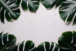 vert feuilles monstera la nature Cadre disposition de tropical plante buisson sur blanc Contexte. ai généré photo