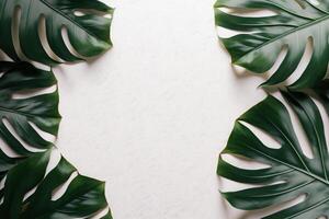 vert feuilles monstera la nature Cadre disposition de tropical plante buisson sur blanc Contexte. ai généré photo