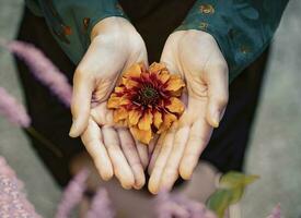 Orange fleur dans une femme mains. photo