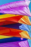 une tissu avec une multicolore conception et une cerf-volant motif photo