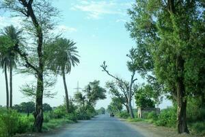 village été Matin tirer Extérieur la nature la photographie vert route verdure dans route Pakistan beauté photo