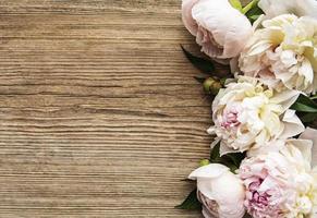 fleurs de pivoine rose comme bordure photo