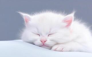 ai génératif. mignonne peu blanc chaton en train de dormir photo