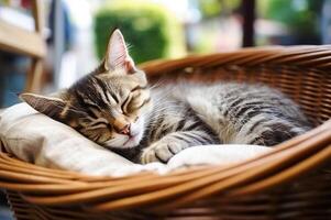 ai génératif. mignonne tigré chaton en train de dormir dans une panier photo