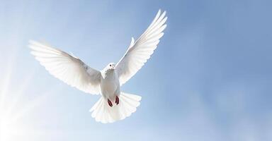 ai génératif. blanc Colombe contre bleu ciel photo