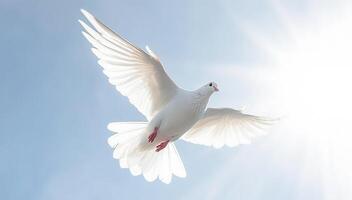 ai génératif. blanc Colombe contre bleu ciel photo