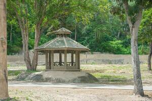 pavillon dans le jardin photo