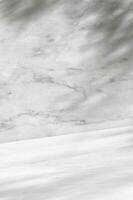 vide studio arrière-plan, marbre texture avec feuilles ombre recouvrir sur blanc et gris sur mur Contexte avec brillant sol, produit afficher la nature granit podium, toile de fond avec copie espace pour présentation photo