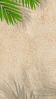 le sable texture Contexte avec paume feuilles silhouette, noix de coco feuille ombre sur marron sablonneux plage, haut vue le sable surface, toile de fond Contexte large horizon désert dune pour été produit présentation photo