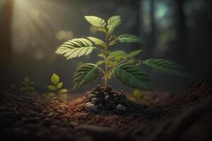 plante croissance dans ferme sol ou forêt avec lumière du soleil à jour. Jeune plante est croissance. monde Terre journée. monde environnement journée. Terre conservation, écologie ou global chauffage par ai généré photo