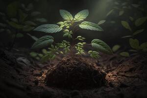 plante croissance dans ferme sol ou forêt avec lumière du soleil à jour. Jeune plante est croissance. monde Terre journée. monde environnement journée. Terre conservation, écologie ou global chauffage par ai généré photo