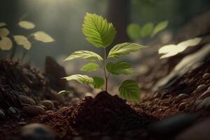 plante croissance dans ferme sol ou forêt avec lumière du soleil à jour. Jeune plante est croissance. monde Terre journée. monde environnement journée. Terre conservation, écologie ou global chauffage par ai généré photo