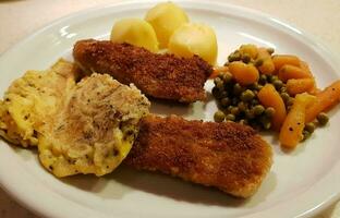 pané saucisse schnitzel avec côté vaisselle photo