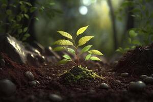 plante croissance dans ferme sol ou forêt avec lumière du soleil à jour. Jeune plante est croissance. monde Terre journée. monde environnement journée. Terre conservation, écologie ou global chauffage par ai généré photo