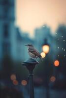 Urbain faune majestueux oiseau sur une ville lampe Publier à crépuscule ai généré photo