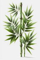 isolé bambou plante sur blanc Contexte une symbole de pureté, force, et souplesse ai généré photo
