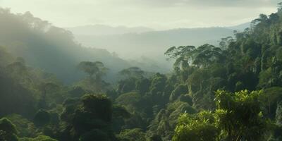 aérien vue de brumeux forêt tropicale sur une ensoleillé journée avec imposant des arbres ai généré photo