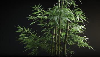 serein beauté de une luxuriant bambou plante ai généré photo