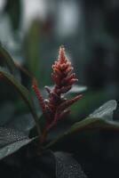 exotique plante dans le forêt tropicale vibrant Orange rouge fleur ai généré photo