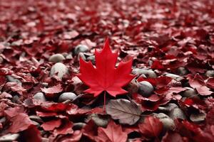 ai généré, Canada jour, 4e de juillet, Canada drapeau jour, indépendance journée photo