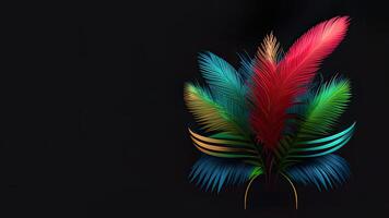 bouquet de multicolore plumes sur noir Contexte et copie espace. photo