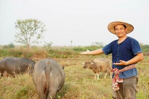 Beau asiatique homme agriculteur est à animal cultiver. en présentant le sien buffles avec fier. concept, bétail.thai Les agriculteurs élever et prendre se soucier buffles comme économique et exportation animaux photo